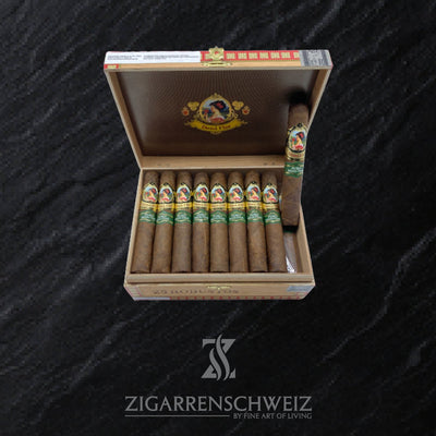 Dona Flor Puro Mata Fina Robusto - Zigarrenschweiz Online Zigarren Boutique -