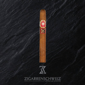 H. Upmann Noellas limited Edition Jar - La Case del Habano - Zigarrenschweiz Online Zigarren Boutique -
