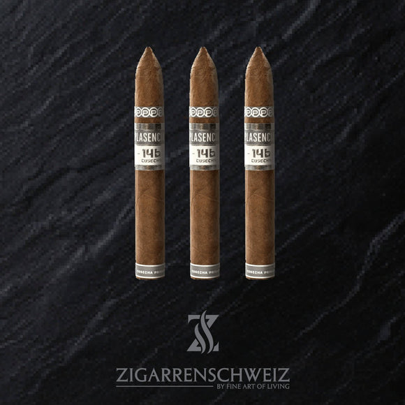 Plasencia Cosecha 146 San Agustin (Torpedo) - Zigarrenschweiz Online Zigarren Boutique -