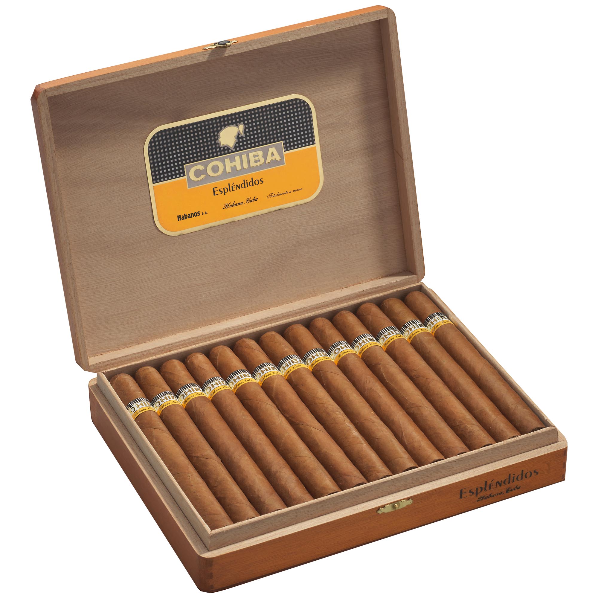 Cohiba Esplendidos Zigarre im Churchill Format 25er Box geöffnet