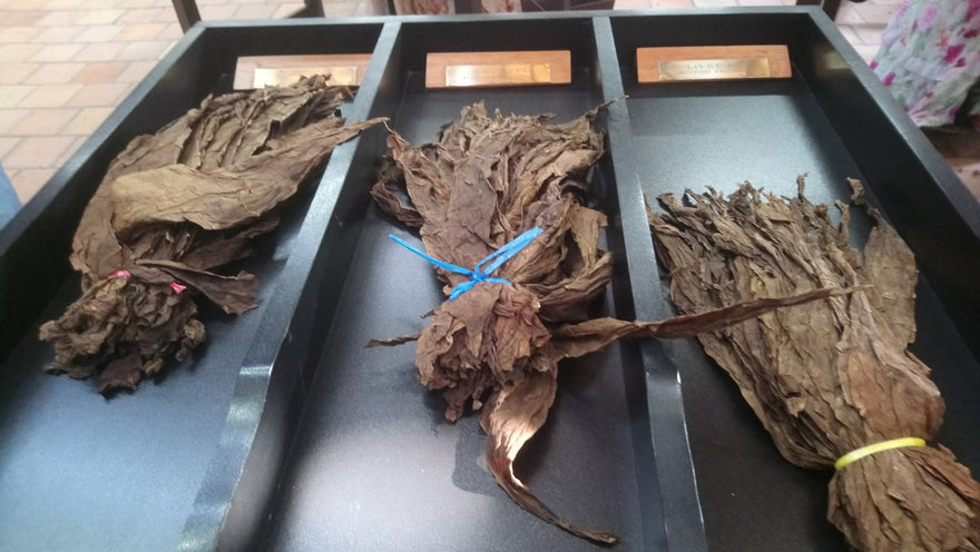 Vom Tabak zur Zigarre, ein Weg mit vielen Stationen - Zigarrenschweiz Online Zigarren Boutique