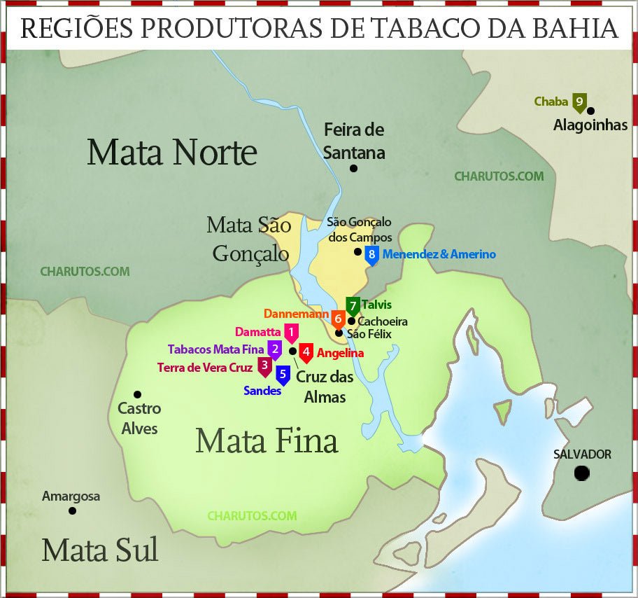 Rota do Charuto, die Zigarrenstrasse im Nordosten Brasiliens - Zigarrenschweiz Online Zigarren Boutique