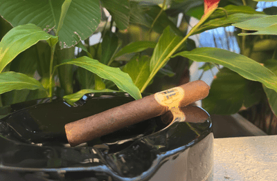 Caldwell the King is Dead Premier Zigarren Review - Zigarrenschweiz Online Zigarren Boutique