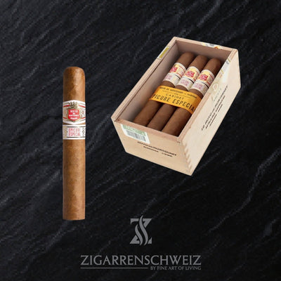 Hoyo de Monterrey Epicure Especiales Gordito - Zigarrenschweiz Online Zigarren Boutique - 