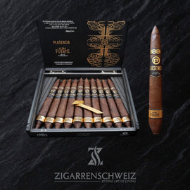 Plasencia Alma Fuerte Generación V, geöffnete 10er Zigarrenkiste mit Blick auf die Salomón Zigarren in dunklem nicaraguanischem Deckblatt