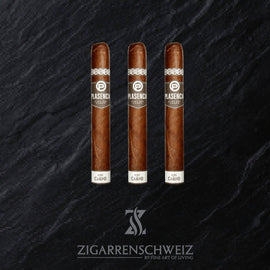 Plasencia Alma del Campo Madrono (Gordo) - Zigarrenschweiz Online Zigarren Boutique - 