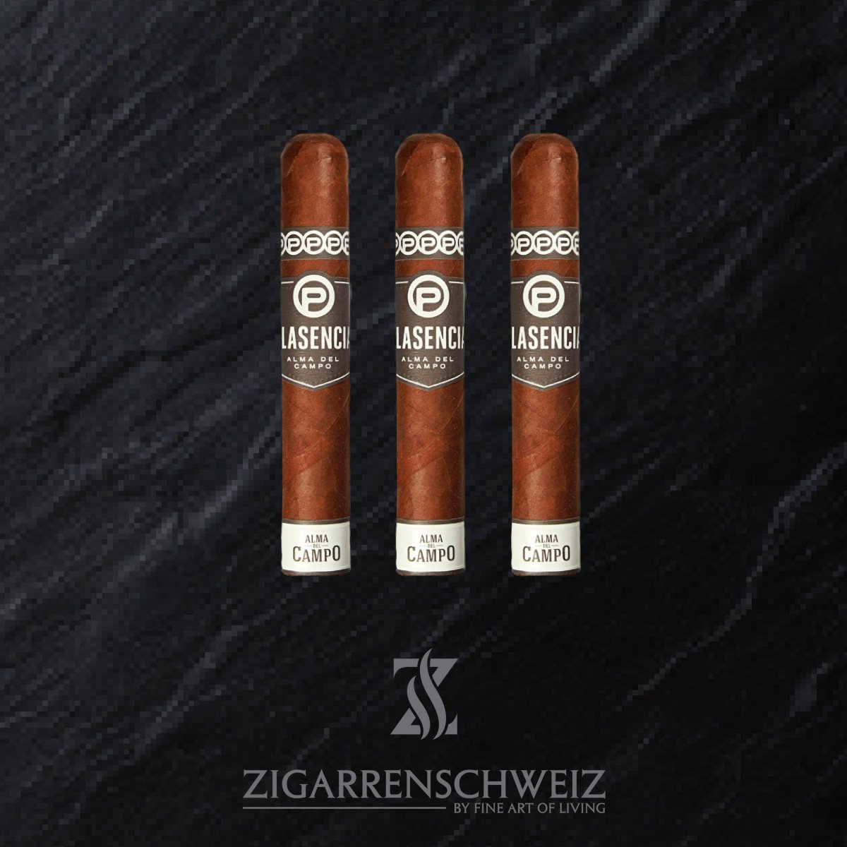 Plasencia Alma del Campo Tribu (Robusto) - Zigarrenschweiz Online Zigarren Boutique - 