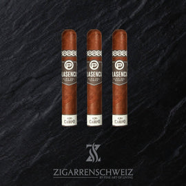 Plasencia Alma del Campo Tribu (Robusto) - Zigarrenschweiz Online Zigarren Boutique - 