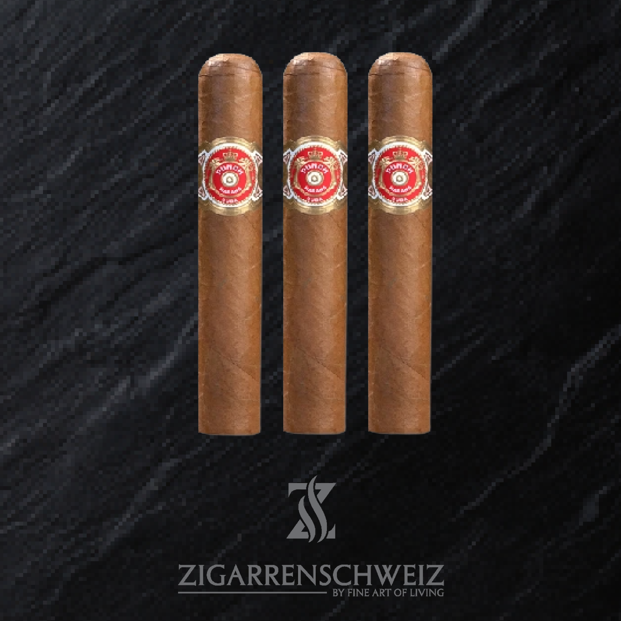 Punch Short de Punch Zigarre