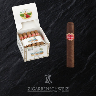 Quintero Favoritos - Zigarrenschweiz Online Zigarren Boutique - 