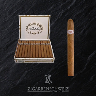 Rafael Gonzalez Panetelas Extra - Zigarrenschweiz Online Zigarren Boutique - 