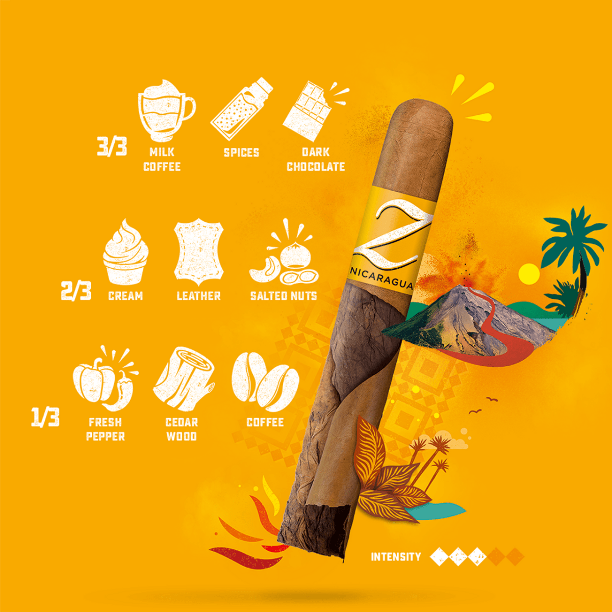 Zino Nicaragua Gordo - Zigarrenschweiz Online Zigarren Boutique - 