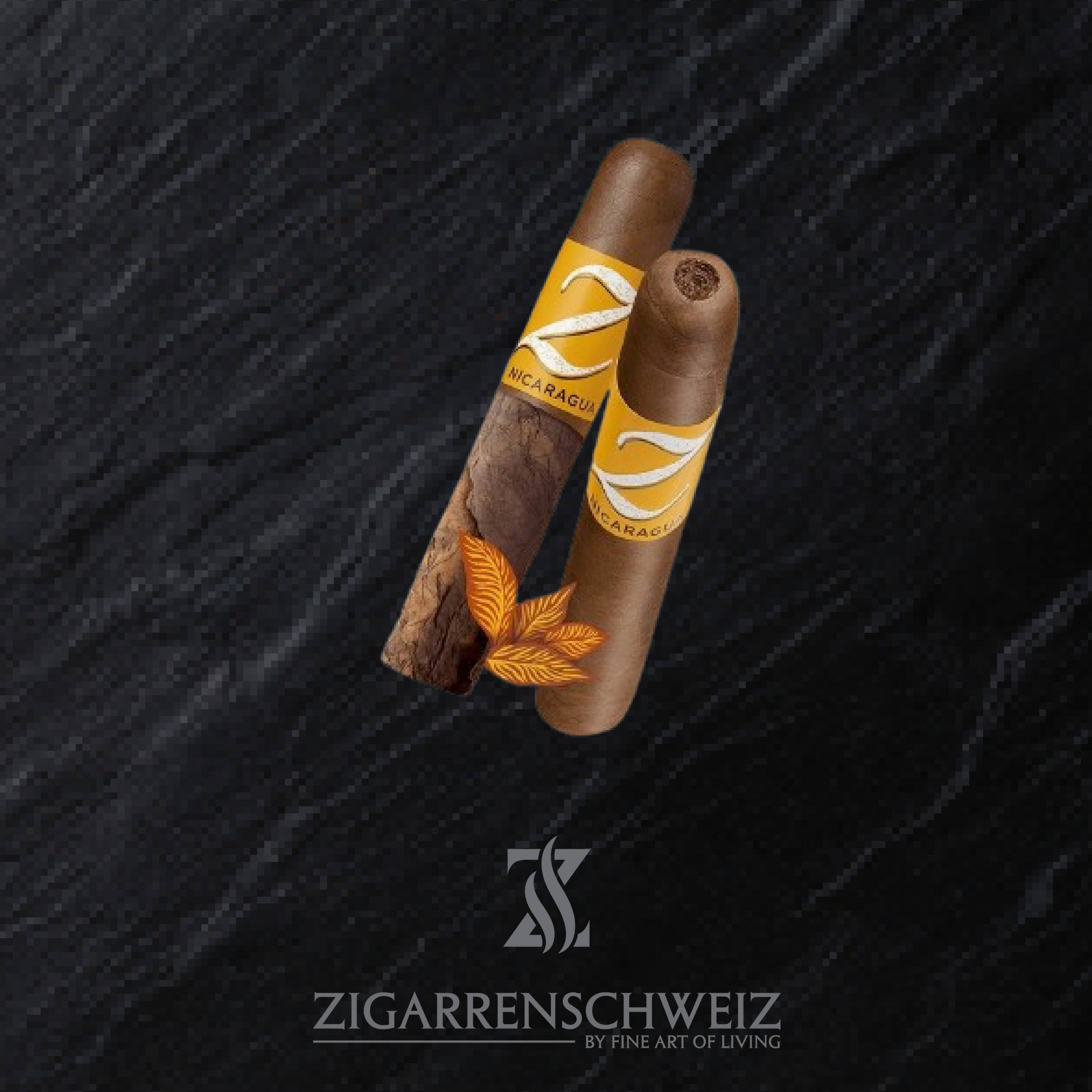 Zino Nicaragua Half Corona Pre-Cut Zigarre_Anschnitt und Aufbau der Zgarre
