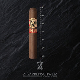 AVO Expresivo Robusto Zigarre – Einzelansicht mit Längenangabe 127 mm