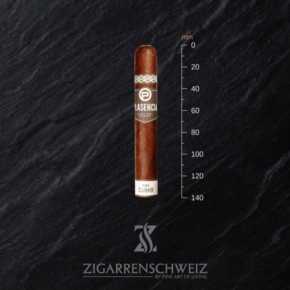 Plasencia Alma del Campo Guajiro (Robusto Gordo) - Zigarrenschweiz Online Zigarren Boutique -