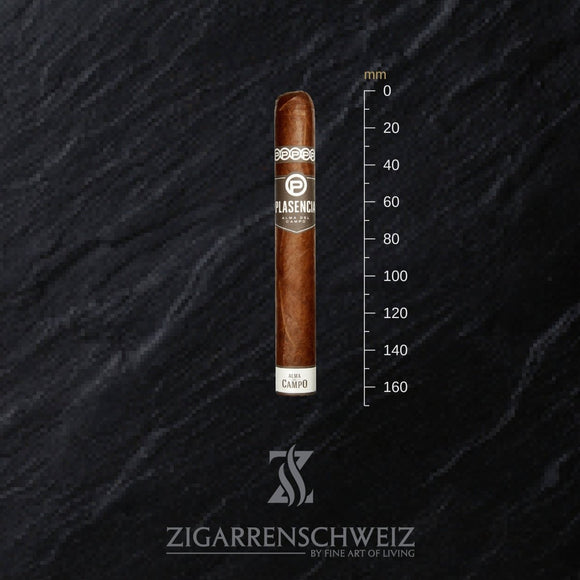 Plasencia Alma del Campo Madrono (Gordo) - Zigarrenschweiz Online Zigarren Boutique -