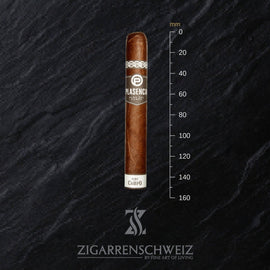 Plasencia Alma del Campo Sendero (Toro Gorda) - Zigarrenschweiz Online Zigarren Boutique -