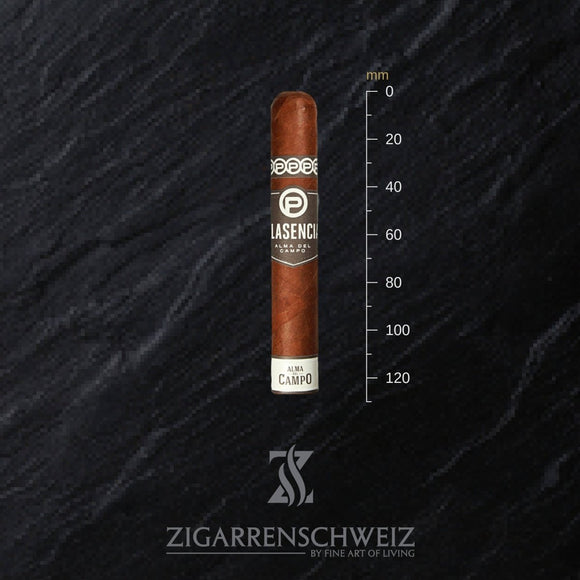 Plasencia Alma del Campo Tribu (Robusto) - Zigarrenschweiz Online Zigarren Boutique -
