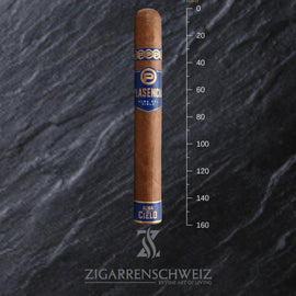 Plasencia Alma del Cielo Boreal Toro - Zigarrenschweiz Online Zigarren Boutique -