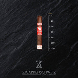 Plasencia Alma del Fuego Candente (Robusto) - Zigarrenschweiz Online Zigarren Boutique -