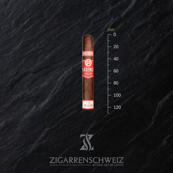 Plasencia Alma del Fuego Candente (Robusto) - Zigarrenschweiz Online Zigarren Boutique -