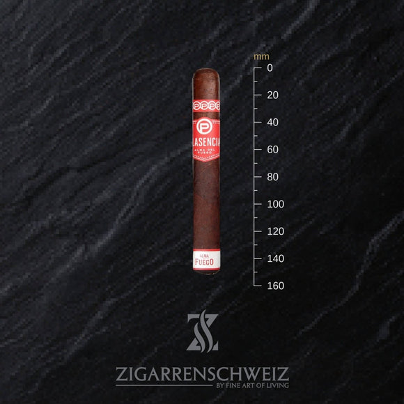 Plasencia Alma del Fuego Concepcion (Toro) - Zigarrenschweiz Online Zigarren Boutique -