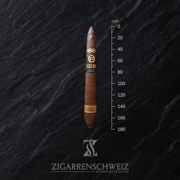 Plasencia Alma Fuerte Generacion V Zigarre im Salomones Format - Zigarrenschweiz Online Zigarren Boutique -