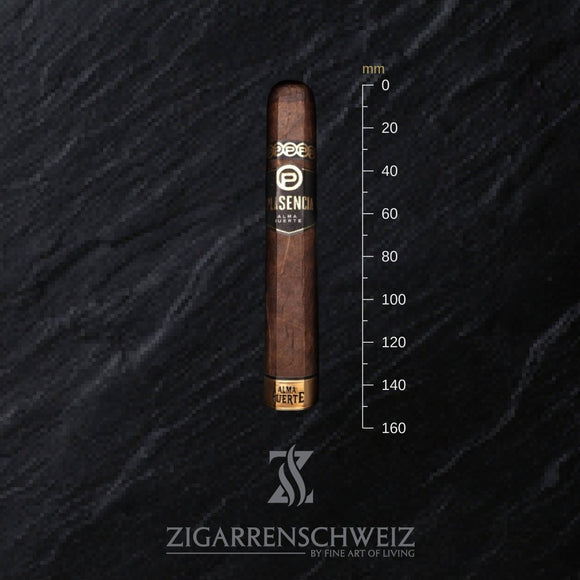 Plasencia Alma Fuerte Sixto II (2) Zigarre - Zigarrenschweiz Online Zigarren Boutique -