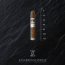 Plasencia Cosecha 146 La Musica (Robusto) - Zigarrenschweiz Online Zigarren Boutique -
