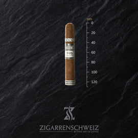 Plasencia Cosecha 146 La Musica (Robusto) - Zigarrenschweiz Online Zigarren Boutique -