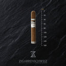 Plasencia Cosecha 146 Monte Carlo (Gordo) - Zigarrenschweiz Online Zigarren Boutique -