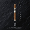 Plasencia Cosecha 146 San Agustin (Torpedo) - Zigarrenschweiz Online Zigarren Boutique -
