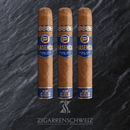 Plasencia Alma del Cielo Celeste Robusto 3er Zigarrenetui