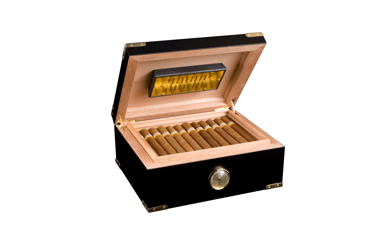 adorini Modena Medium Deluxe Humidor - Zigarrenschweiz Online Zigarren Boutique - 