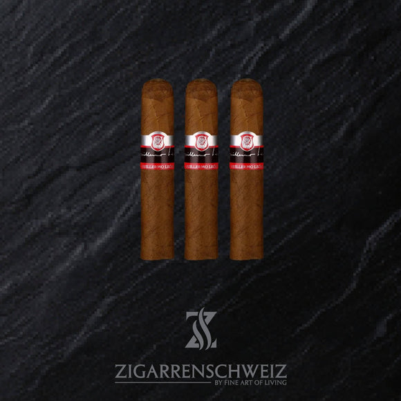 La Aurora Guillermo Leon 15 minutes Break - Zigarrenschweiz Online Zigarren Boutique - 