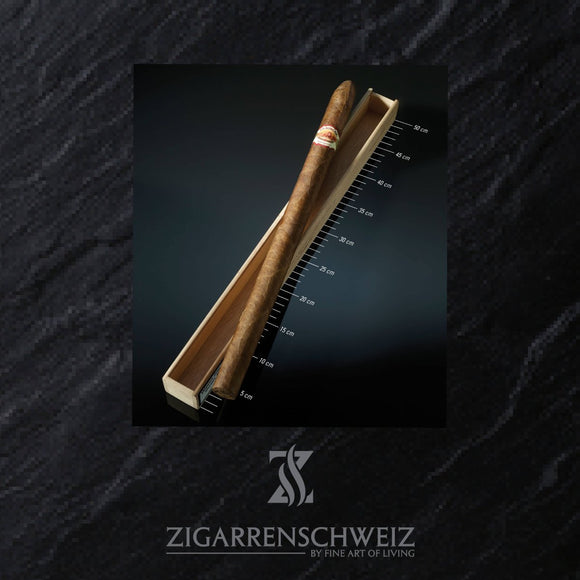 La Aurora Stravaganza - Zigarrenschweiz Online Zigarren Boutique - 