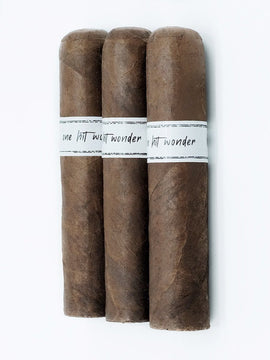 Lost & Found One Hit Wonder Vintage 2017 Short Robusto - Zigarrenschweiz Online Zigarren Boutique - 