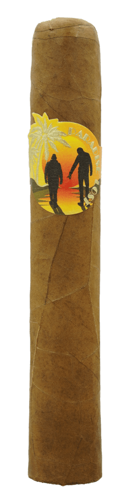 Lost & Found Paradise Lost Vintage 2014 Robusto Zigarre - Zigarrenschweiz Online Zigarren Boutique - 