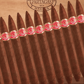 Partagas Presidente - Zigarrenschweiz Online Zigarren Boutique - 