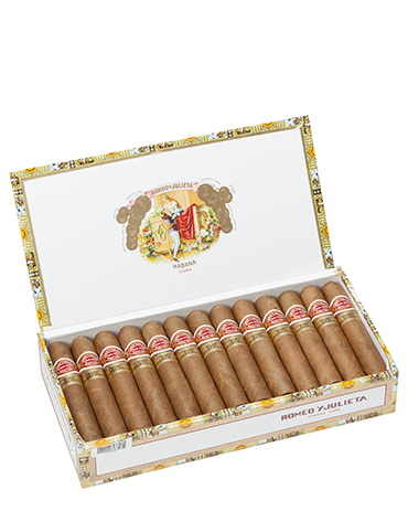 Romeo y Julieta Petit Royales Zigarre im Petit Robusto Format 25er Box open