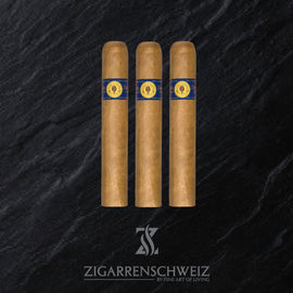 Santa Damiana Classic Robusto - Zigarrenschweiz Online Zigarren Boutique - 
