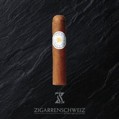 The Griffins Classic Short Robusto - Zigarrenschweiz Online Zigarren Boutique - 