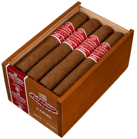 Casa Turrent Origen Caribe - Zigarrenschweiz Online Zigarren Boutique - 