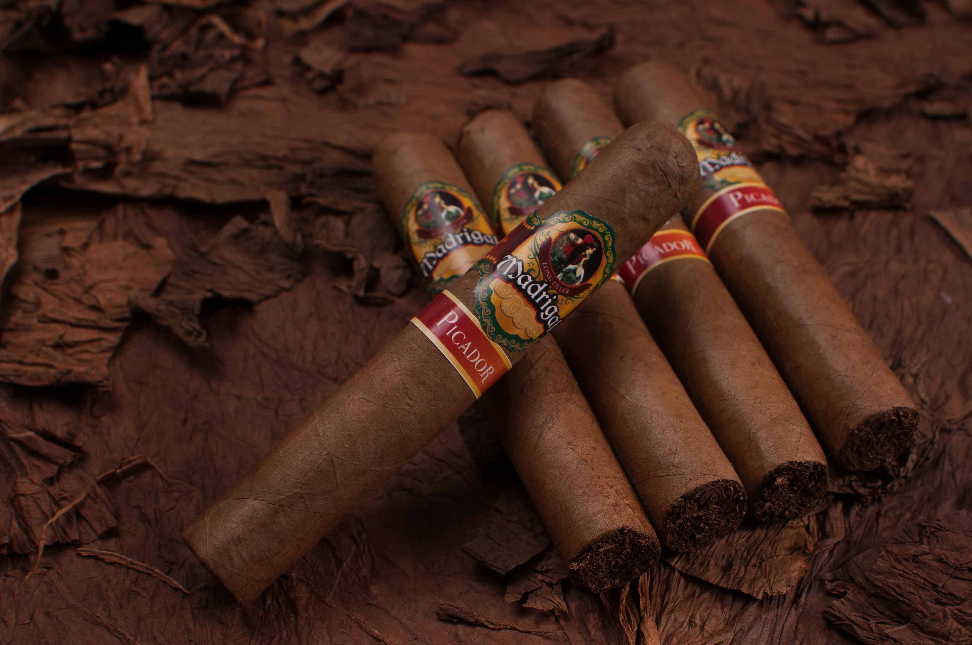 Madrigal Picador Robusto