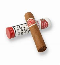 Romeo y Julieta Petit Royales Zigarre im Petit Robusto Format Tubo